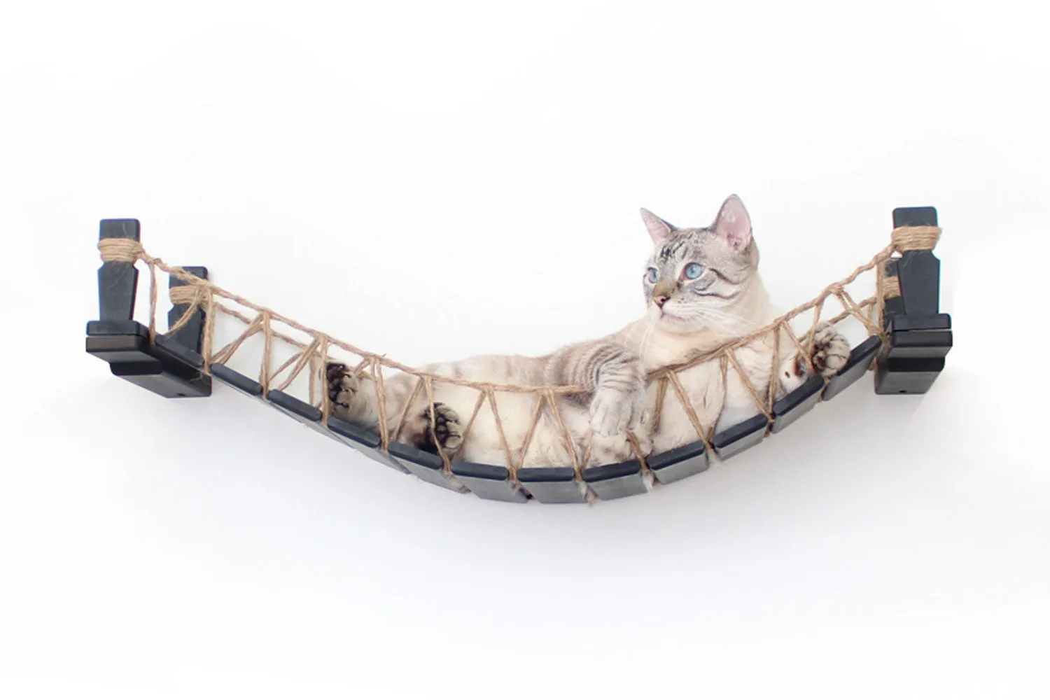 Our Wall-Mounted Cat Bridge