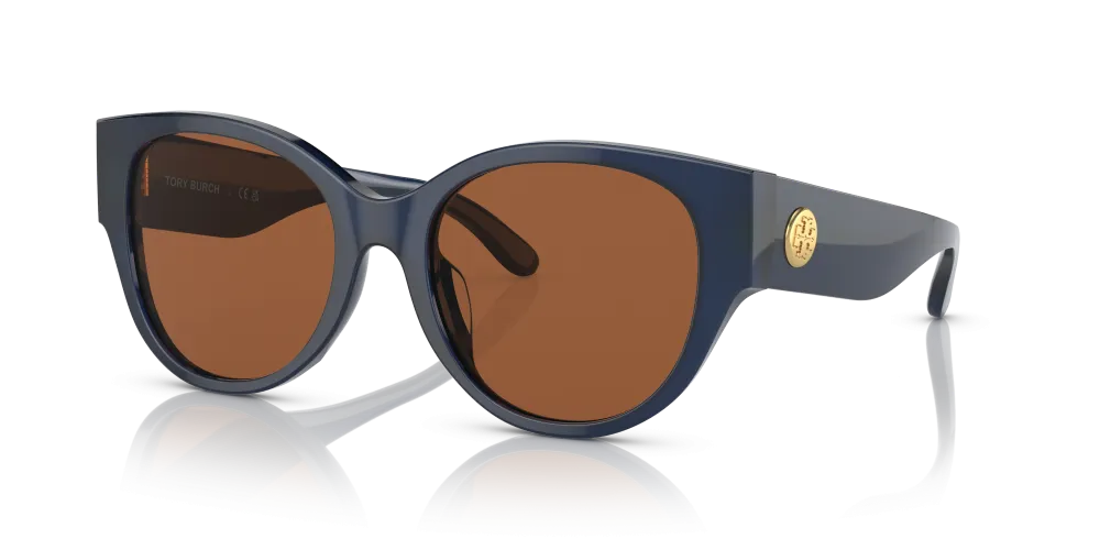 Tory Burch Cat Eye Non-Polarized Sunglasses - Transparent Navy/Brown